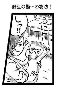 オープニング2