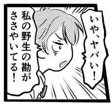 オープニング2